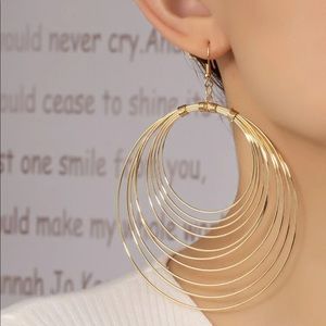 NWOT Round Drop Earrings